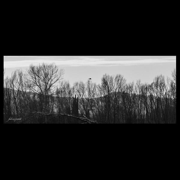 PHOTO84, CLUB, 84 , LUBERON